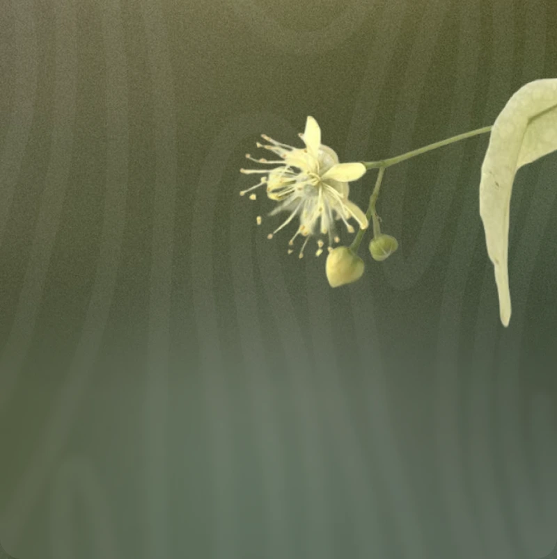 Radno vrijeme klinike